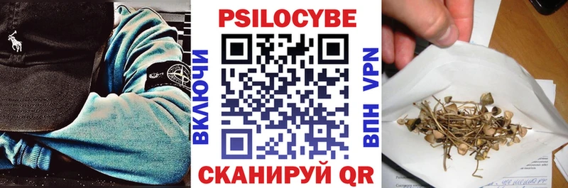 blacksprut зеркало Вышний Волочёк Галлюциногенные грибы мицелий